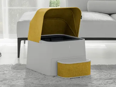 カラー展開マスタード