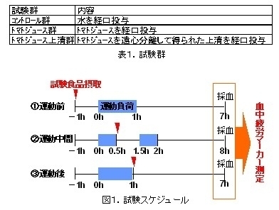 制定 記念 した 日 カゴメ が