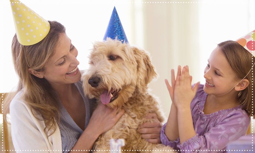 愛犬と家族でクリスマスを楽しむ コミフ のxmasケーキ が10月1日より予約販売を開始 ディナーを彩るワンちゃん用デリも販売開始 株式会社ホットドッグのプレスリリース