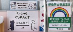掲示物