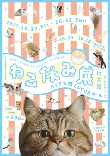 キービジュアル(縦)