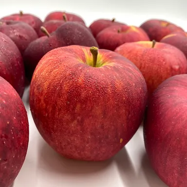 綺麗であざやかなりんご