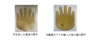 冷蔵庫のドアについた菌が他の人に移る様子