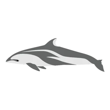 カマイルカのイラスト