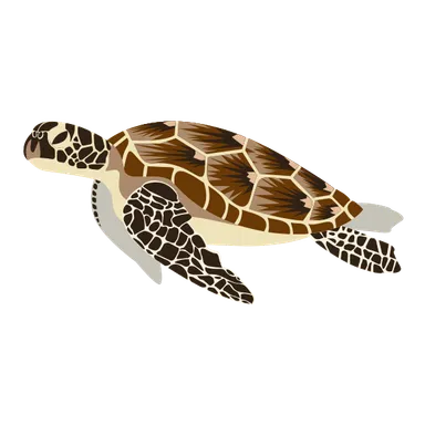 アオウミガメのイラスト