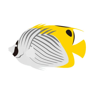 トゲチョウチョウウオのイラスト