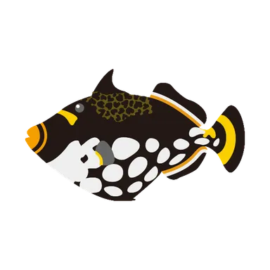 モンガラカワハギのイラスト