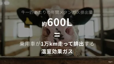 牛1頭がげっぷやおならとして放出するメタンガスの量は、1日160～320リットルにも上ると言われ、地球上には約15億頭の牛がいる。そのほとんどは肉牛や乳牛として繁殖させられたり、飼育されたりしている。