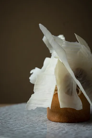 東京モンブラン