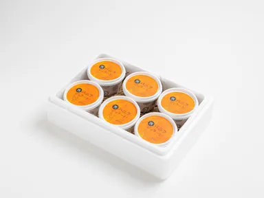 冷凍便でお送りします