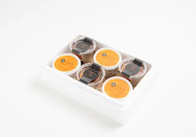 ジェラートとカタラーナのセットも販売！