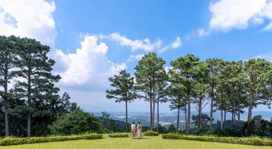 こんぜの里森遊館からの眺望