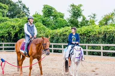 ホースセラピー風景