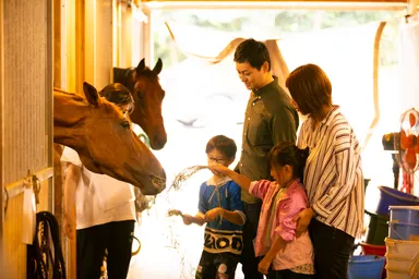 ホースセラピー風景