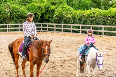 ホースセラピー風景