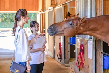ホースセラピー風景