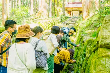 苔フィールドワーク