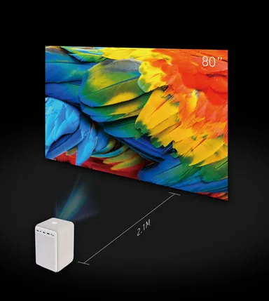 80インチ画面への投影が可能