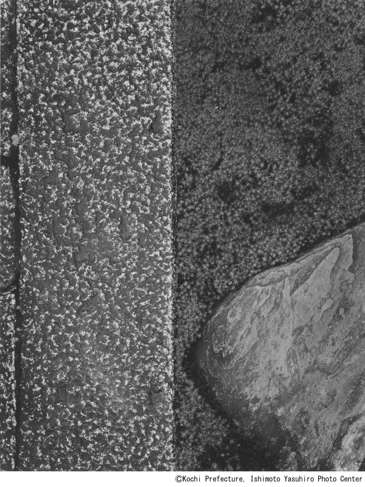 石元泰博《桂離宮御輿寄前庭延段と飛石》1953,54年、高知県立美術館蔵