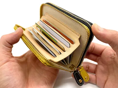 カードを2枚ずつ入れたら全部で11枚も入ります