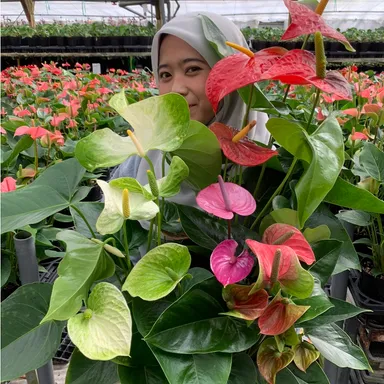 お店では買えない鮮度とボリューム