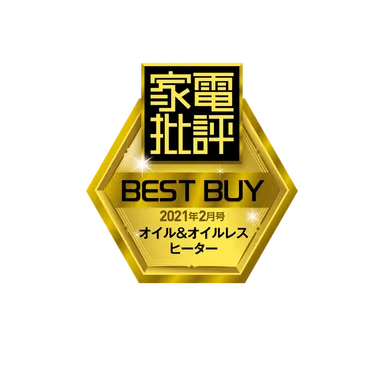 家電批評ベストバイロゴ