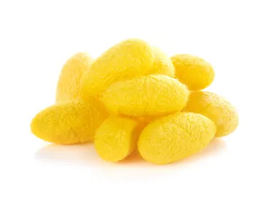 白繭に比べてセリシンの有効成分が約10倍