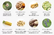 根菜類など8種の温め成分を配合