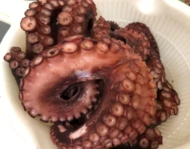 新鮮で歯ごたえ十分対馬のタコ