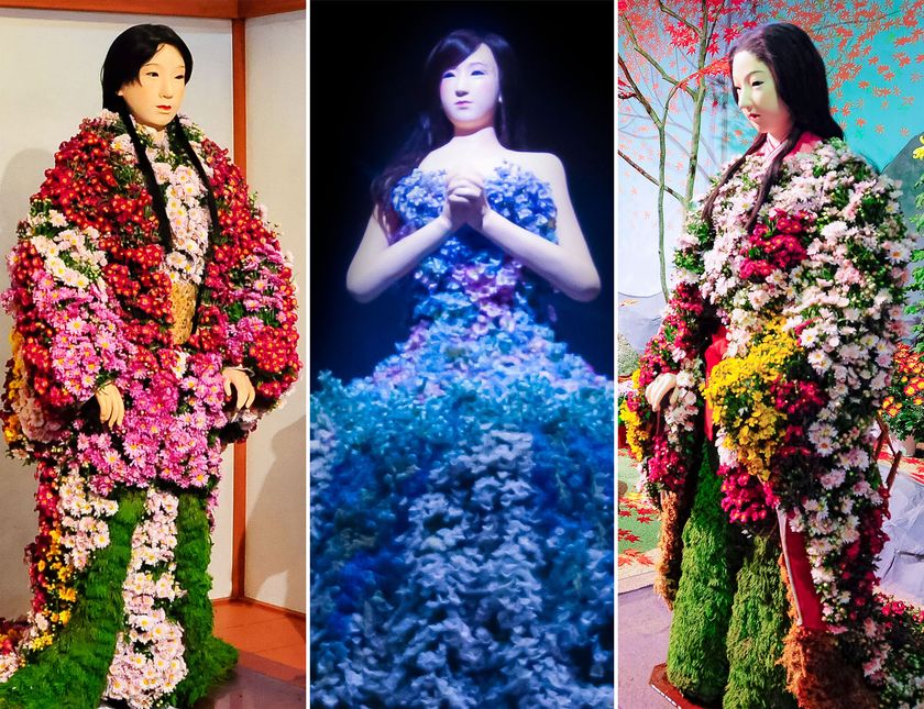 ひらかたパーク 2大フラワーイベント開催