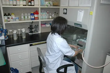 細菌検査中の写真