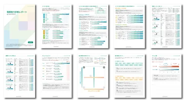 診断レポートver.2