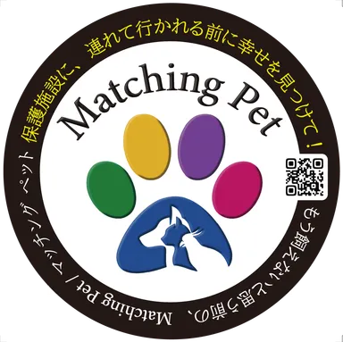 Matching Pet -9