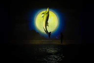 新オーシャンナイトライブ「秋」(2)