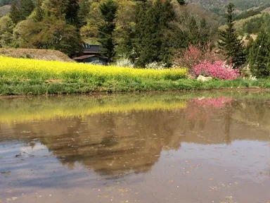 田植え前の風景