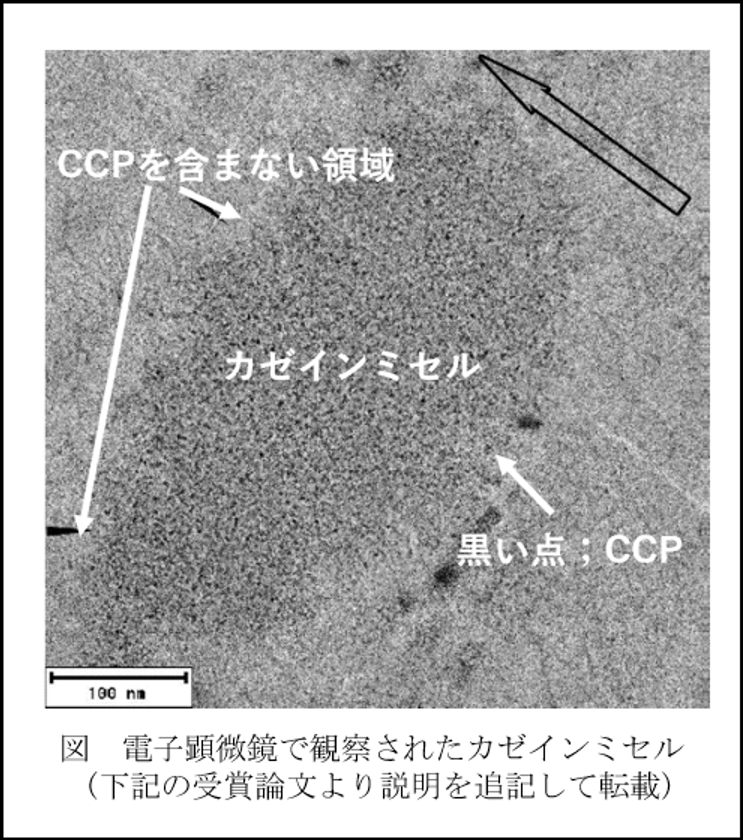 日本顕微鏡学会において、
「凍結超薄切片法を用いた生乳に存在するカゼインミセルの微細構造観察」
が日本顕微鏡学会論文賞を受賞しました
