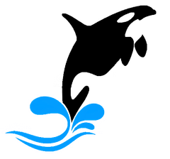 株式会社オルカ総合会計