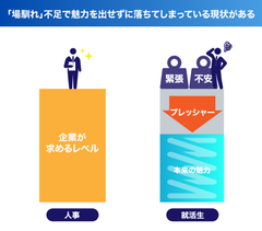 img_281956_5.png