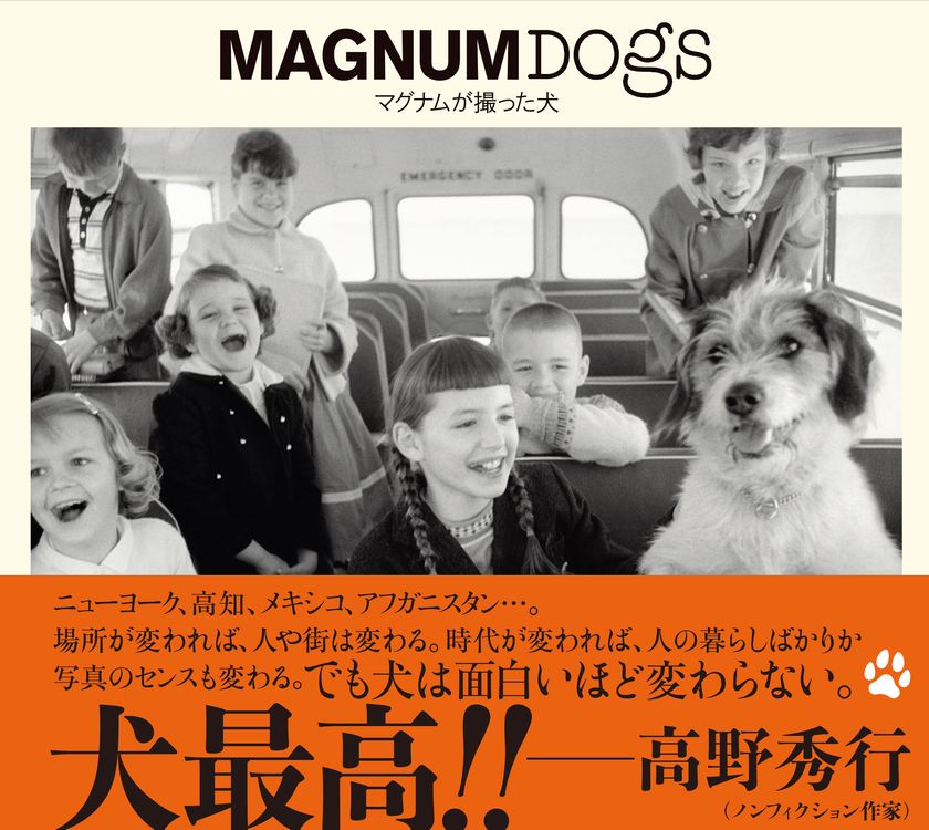 写真集『MAGNUM DOGS マグナムが撮った犬』
10月25日（月）発売！
