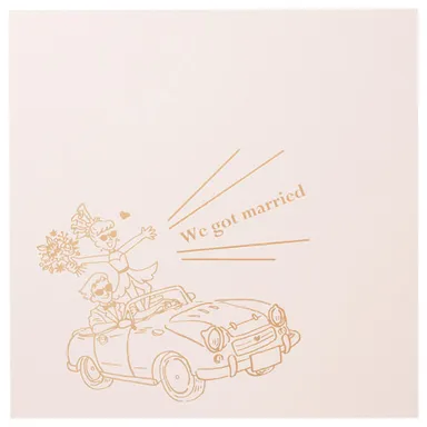 ハクバ 写真台紙 ジョイフル ハネムーン ピンク