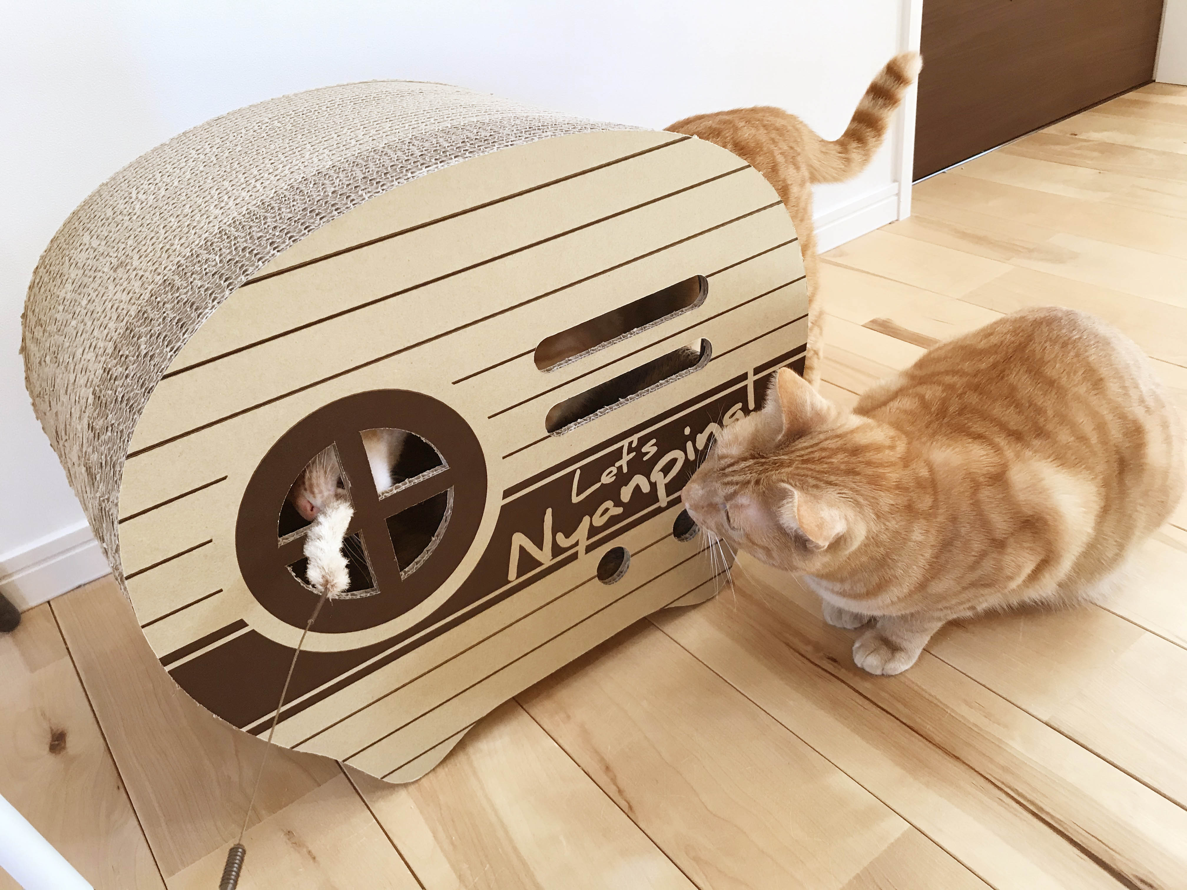 建築会社による猫用品ブランド“NECO LABO”から「ねん猫はんてん」・爪 建築会社による猫用品ブランド“NECO LABO”から「ねん猫はんてん」・爪