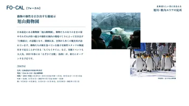 「旅色FO-CAL」北海道特集　旭山動物園