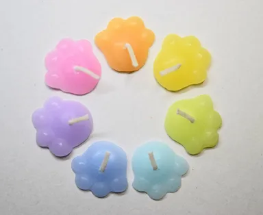 沢山のあしあと肉球