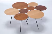 LOTUS table