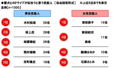 愛犬とのドライブが似合うと思う芸能人
