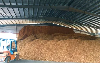 Tanjung Langsat(Johor Bahru)