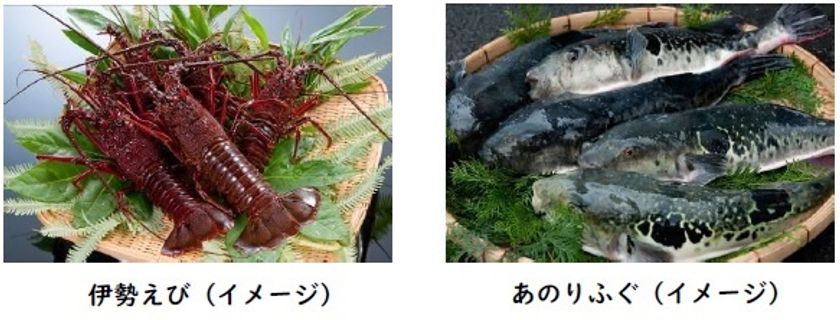 ～志摩市×近鉄　しまの冬の食と鉄道の旅応援事業～
志摩の冬の食材を満喫できる旅行商品を割引して販売します！