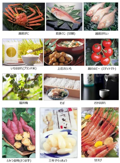 福井美食フェア・テーマ食材