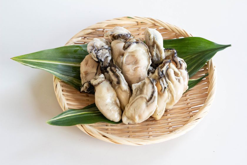 とり野菜みそ」×「遙竹庵」 石川県のソウルフード「とり野菜みそ」と「遙竹庵」の手延べうどんがコラボ  瀬戸内の大粒牡蠣を使用した「牡蠣うどんすき」が発売！｜岡山手延素麺株式会社のプレスリリース