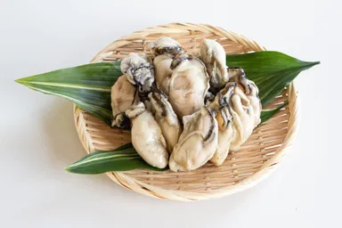 瀬戸内の大粒牡蠣